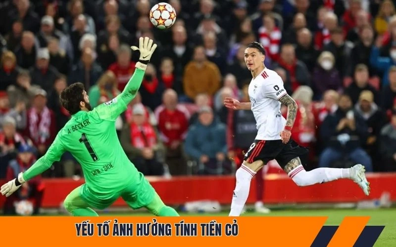 Yếu tố ảnh hưởng tính tiền cỏ