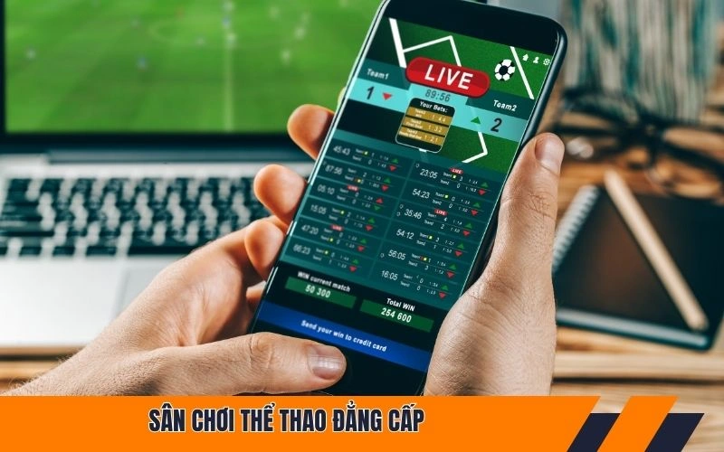 Sân chơi thể thao đẳng cấp