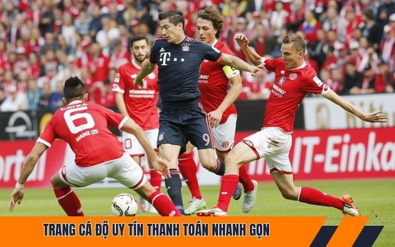 Trang cá độ uy tín thanh toán nhanh gọn