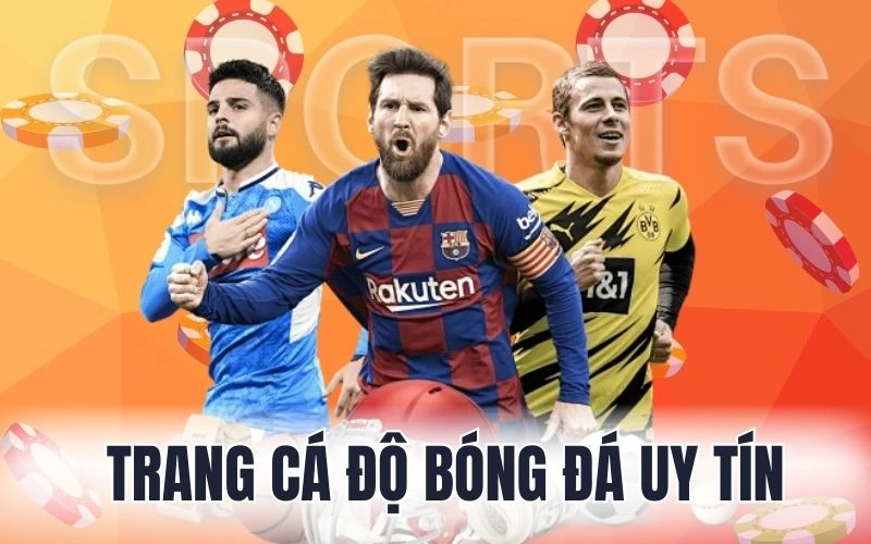 Trang cá độ bóng đá uy tín